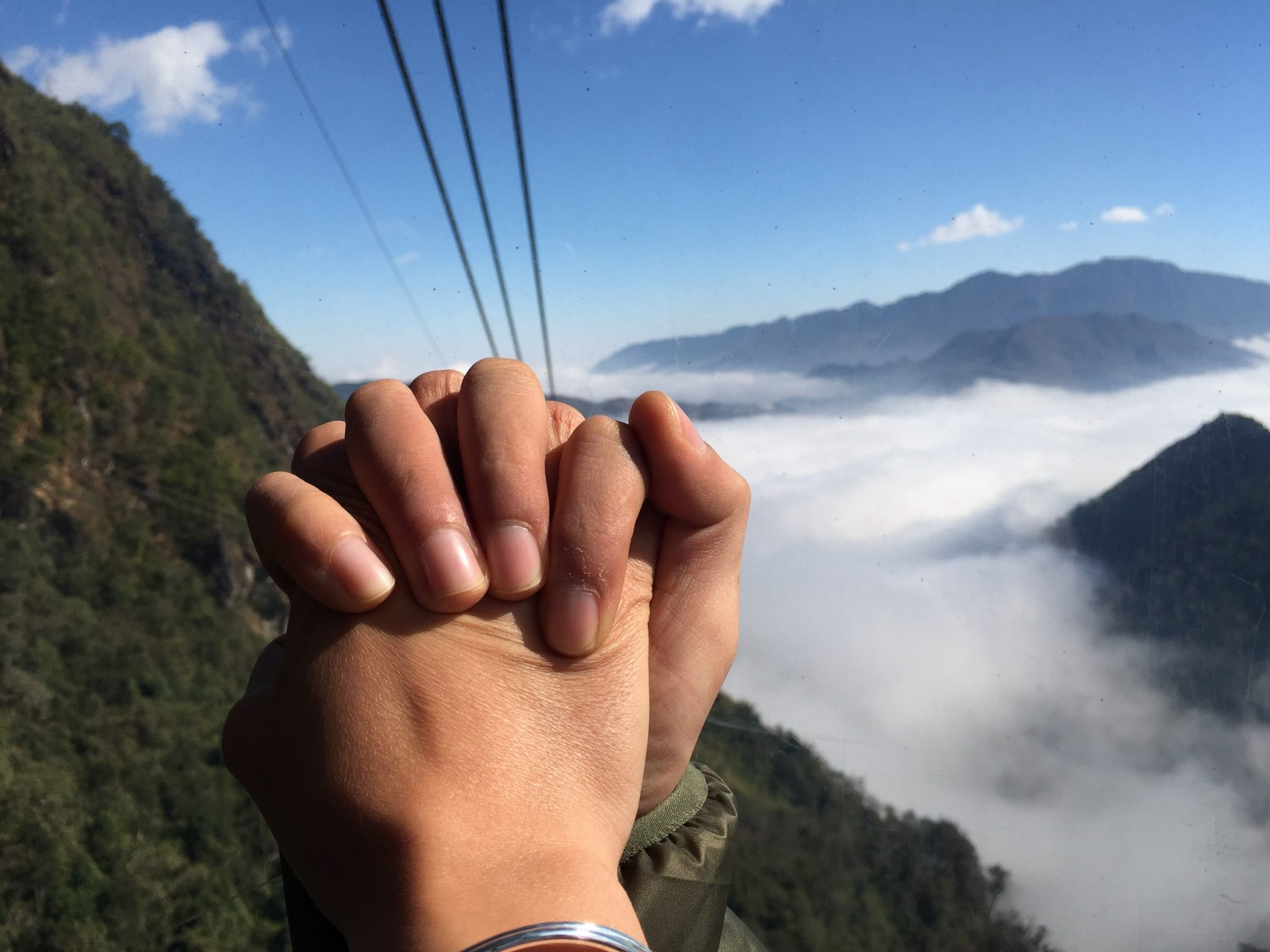 5 Ways To Keep Chicks Warm Without A Heat Lamp