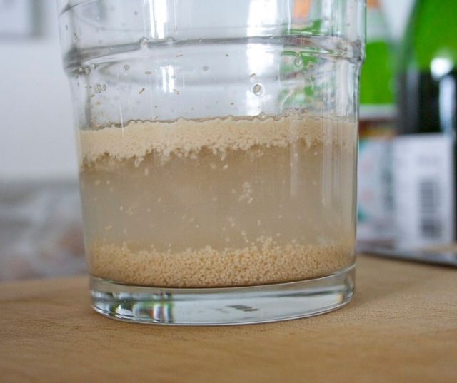 Yeast From Water