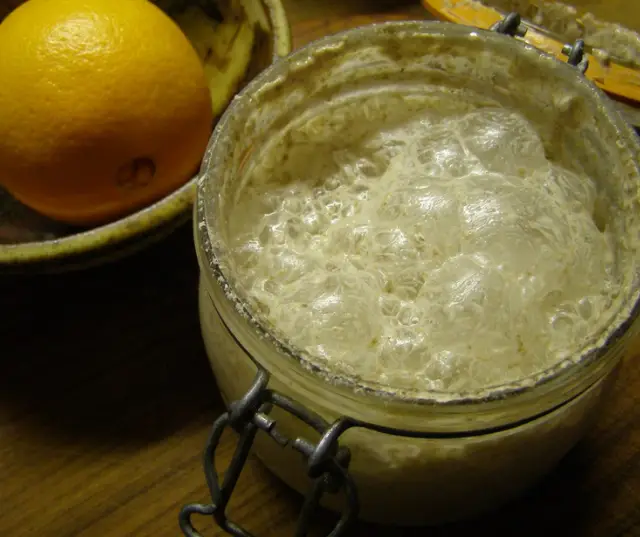Making Yeasts From Fruit