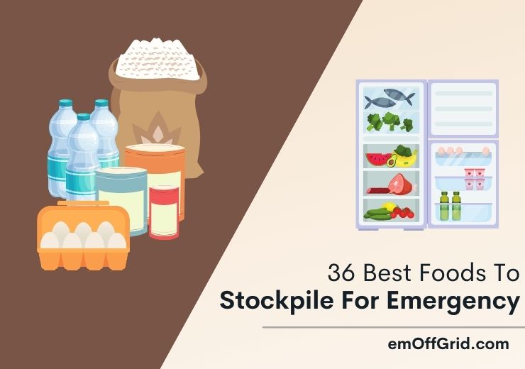 Best Foods To Stockpile