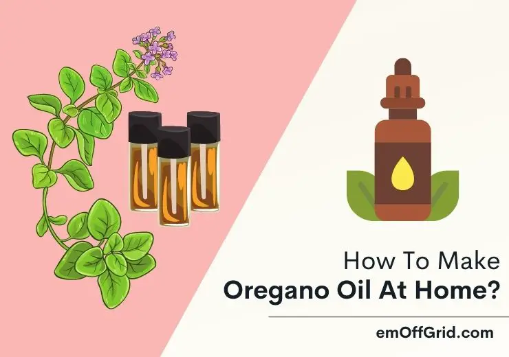How To Make Oregano Oil