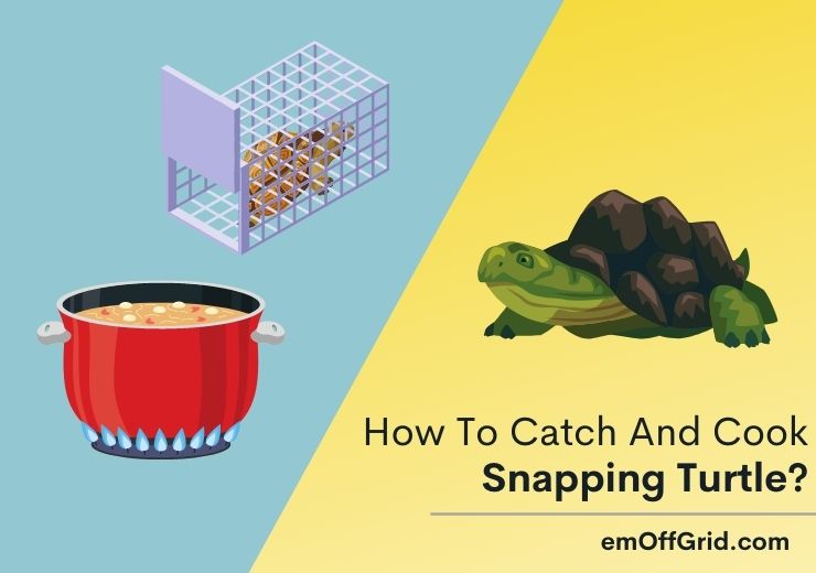 How To Catch And Cook Snapping Turtle