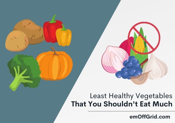 Least Healthy Vegetables