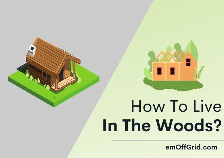 Basic Steps To Live In The Woods