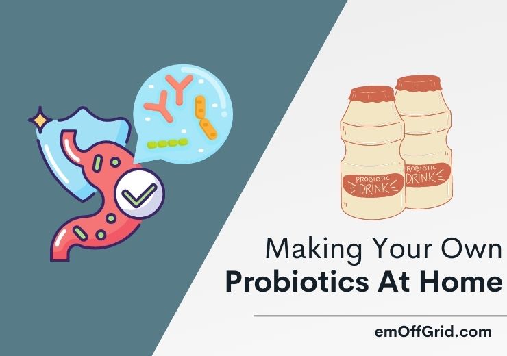 Making Your Own Probiotics At Home