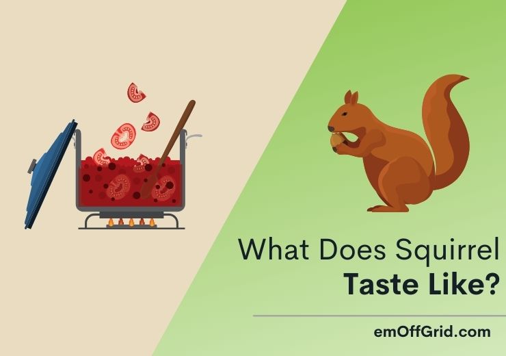 What Does Squirrel Taste Like