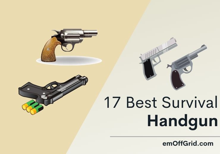 17 Best Survival Handgun