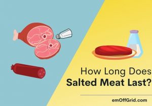 How Long Does Salted Meat Last