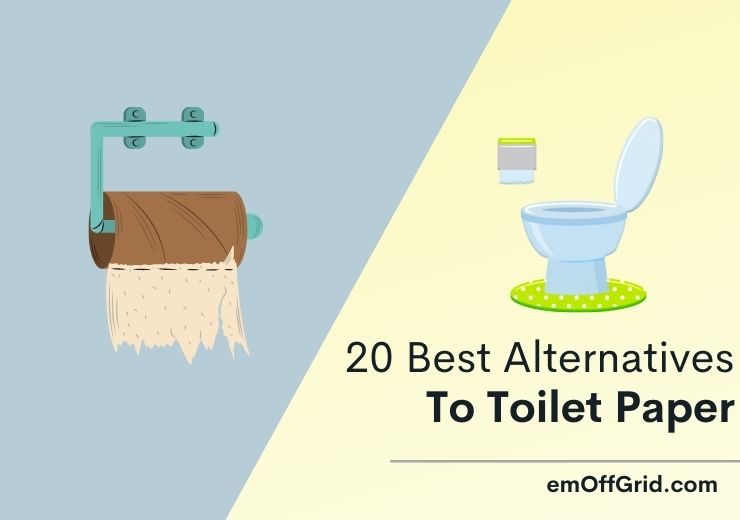 20 Best Alternatives To Toilet Paper
