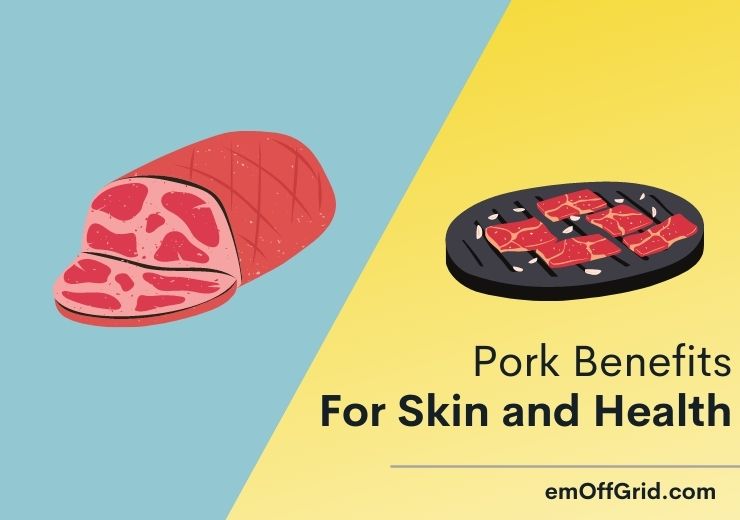 3 Pork Benefits For Skin And 6 Other Health Benefits