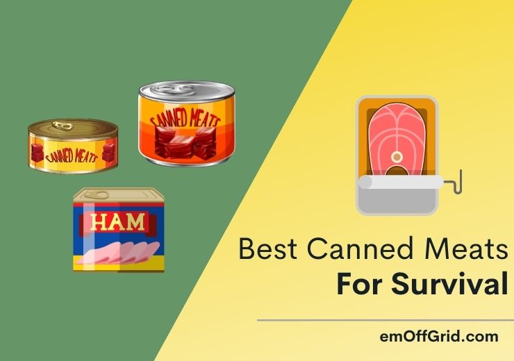Best Canned Meats For Survival