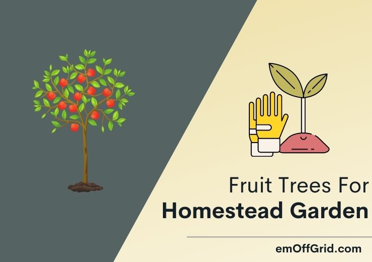 Best Fruit Trees For Homestead Garden