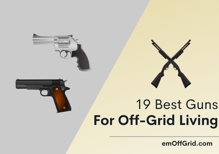 19 Best Guns For Off-Grid Living