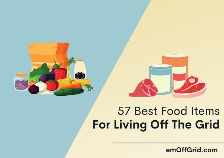 57 Best Food Items For Living Off The Grid