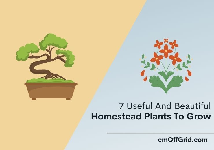 7 Useful And Beautiful Homestead Plants To Grow
