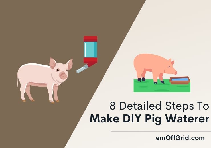 DIY Pig Waterer: 8 Detailed Step-by-step Instructions