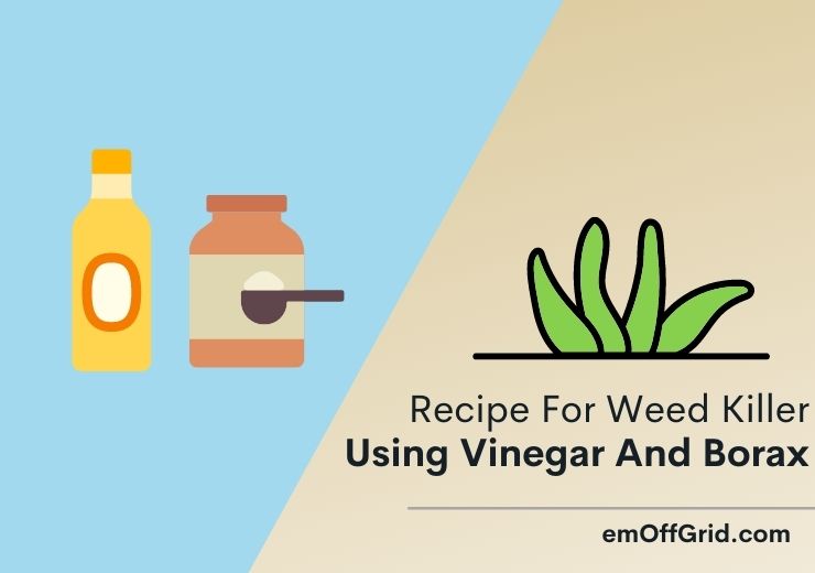 Recipe For Weed Killer Using Vinegar And Borax - 5 Important Tips