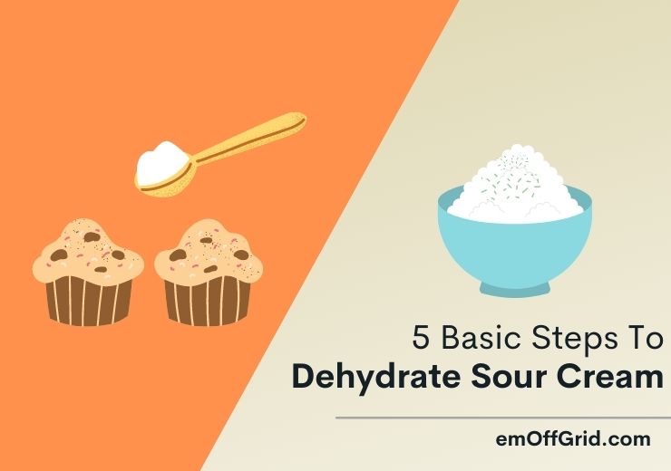 5 Basic Steps to Dehydrate Sour Cream