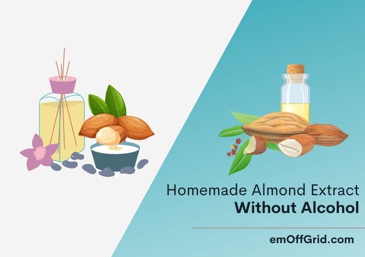 Homemade Almond Extract Without Alcohol