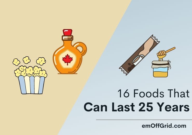 16 Foods That Lasts 25 Years