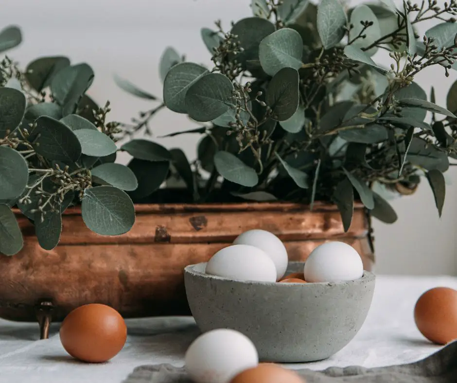 Eggs and potted plants