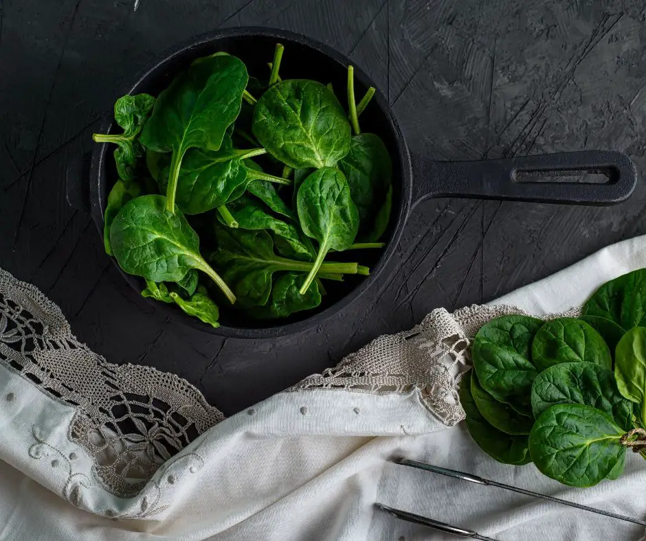 Fresh Green Spinach