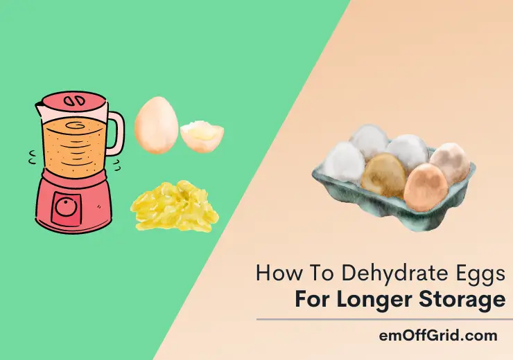 How To Dehydrate Eggs For Longer Storage
