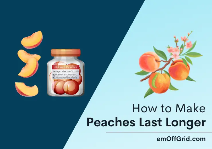 How to Make Peaches Last Longer