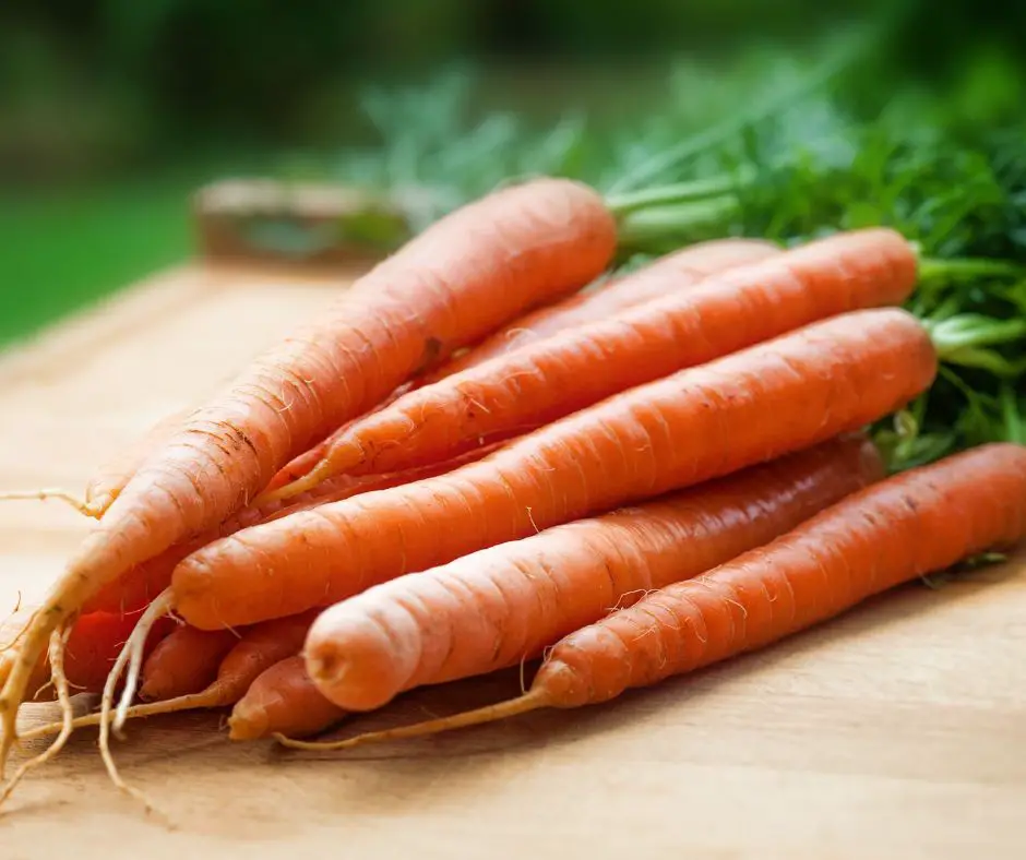 how to store carrots long term