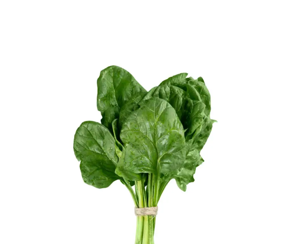 bunch of spinach
