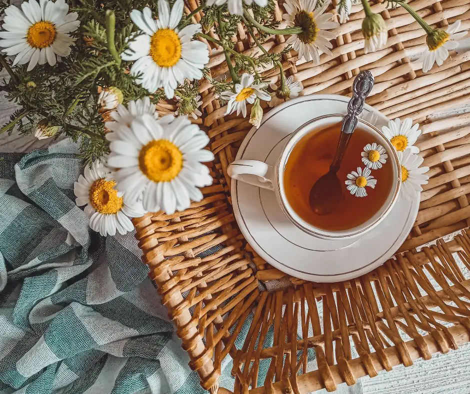 Chamomile tea cup