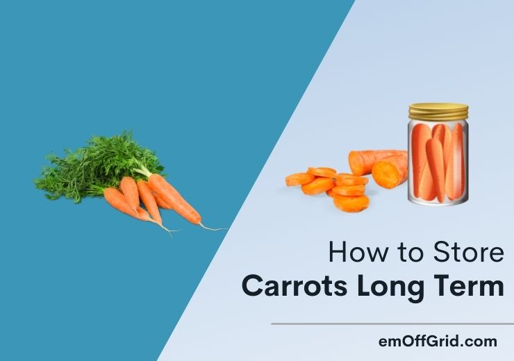 how to store carrots long term