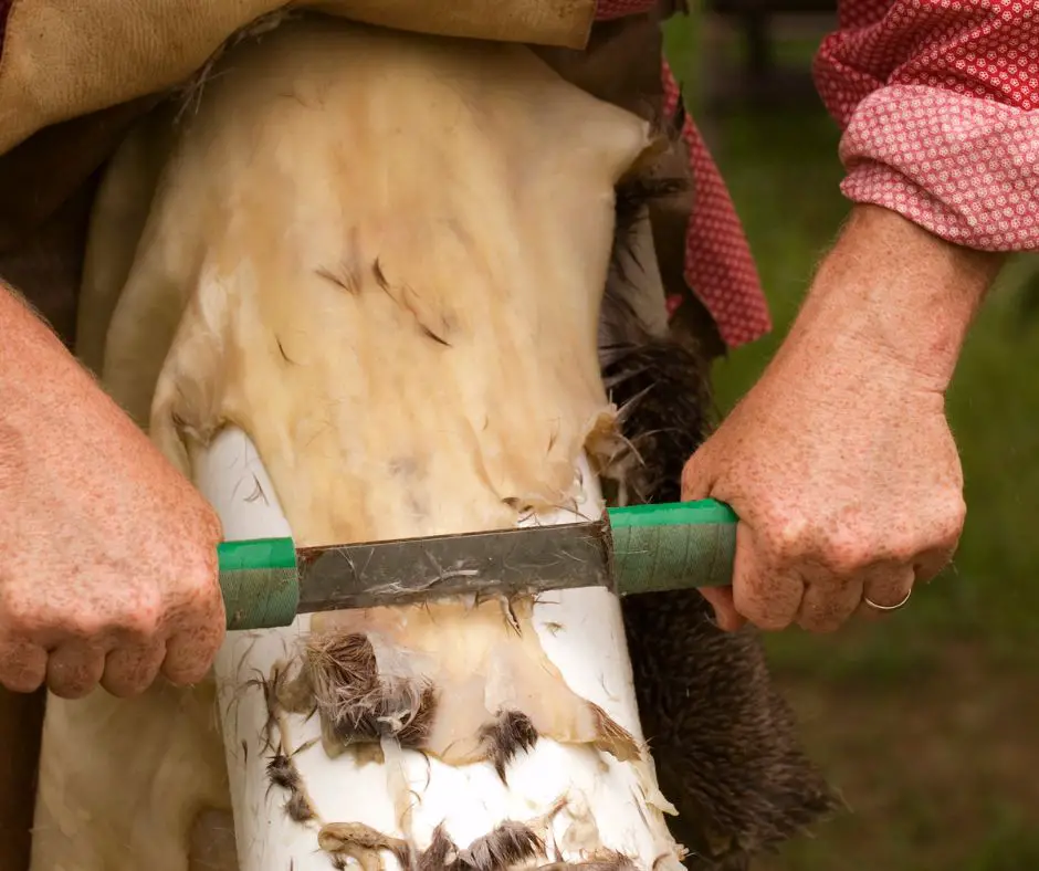 A man is removing excess fat and unnecessary hair from the surface of the skin