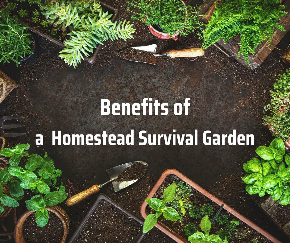 Benefits of a Homestead Survival Garden