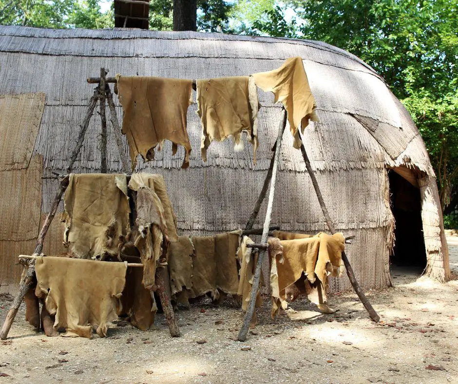 Drying animal skins