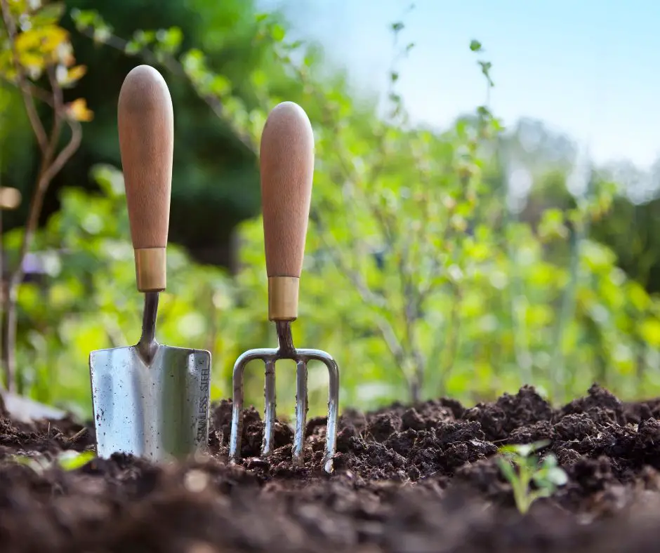 Gardening Hand Trowel and Fork Standing in Garden Soil