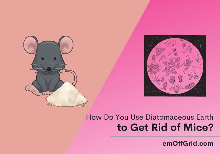 How Do You Use Diatomaceous Earth to Get Rid of Mice