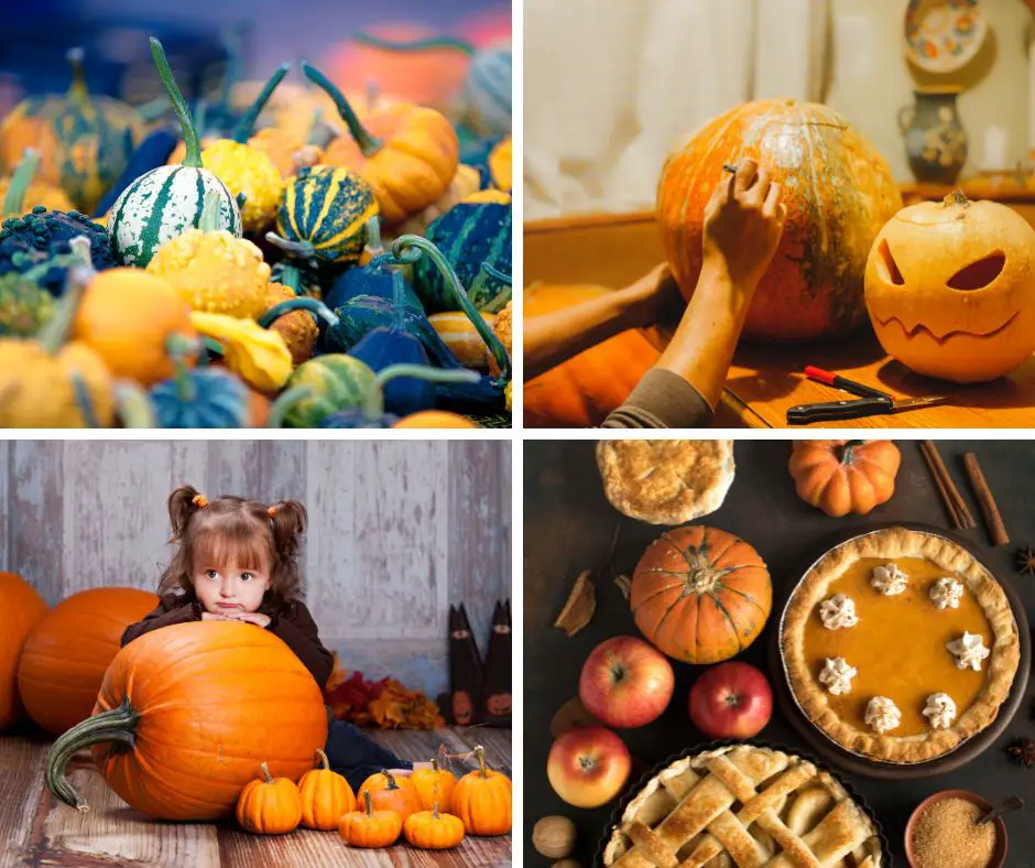 Pumpkins varieties for different purposes