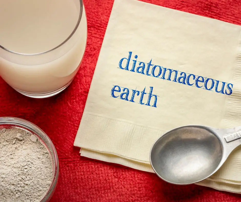 diatomaceous earth powder and in water