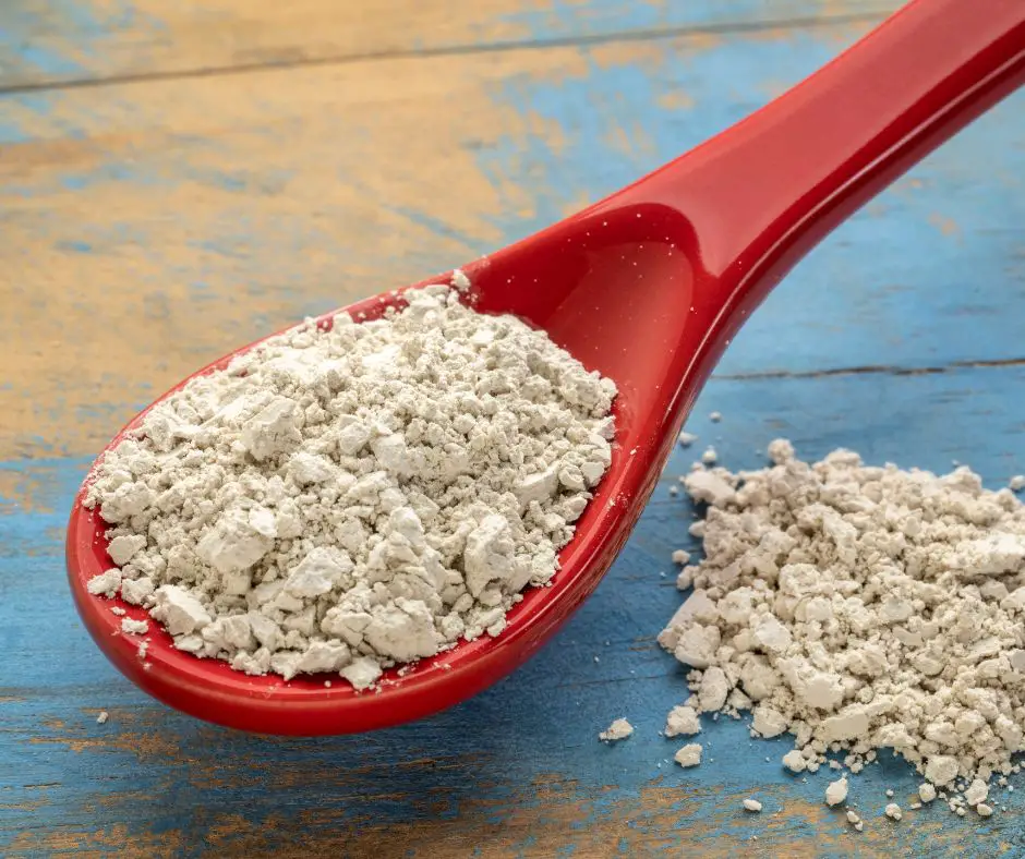 food grade diatomaceous earth supplement on a spoon