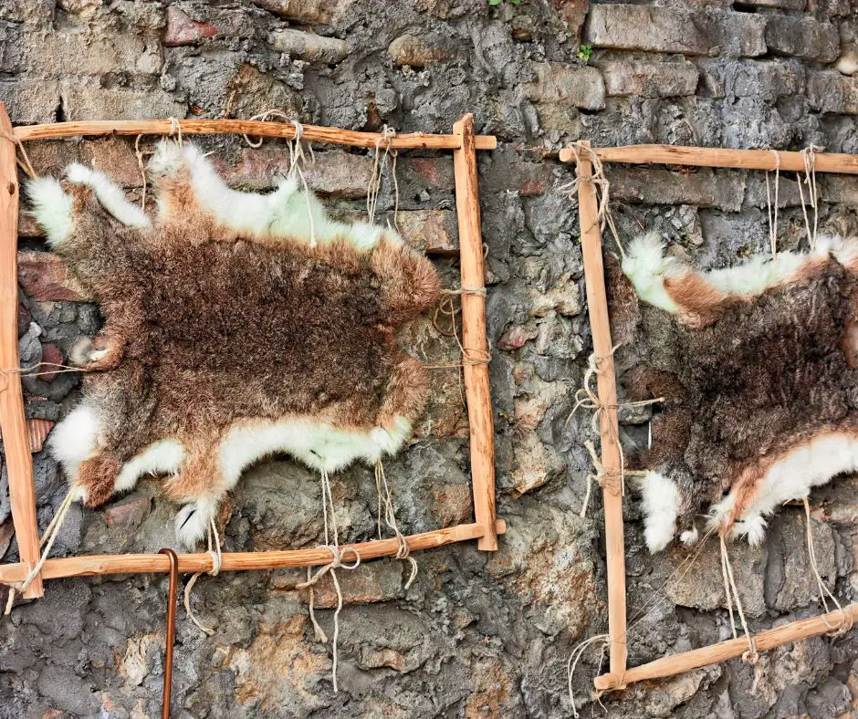 wooden frames for leather tanning