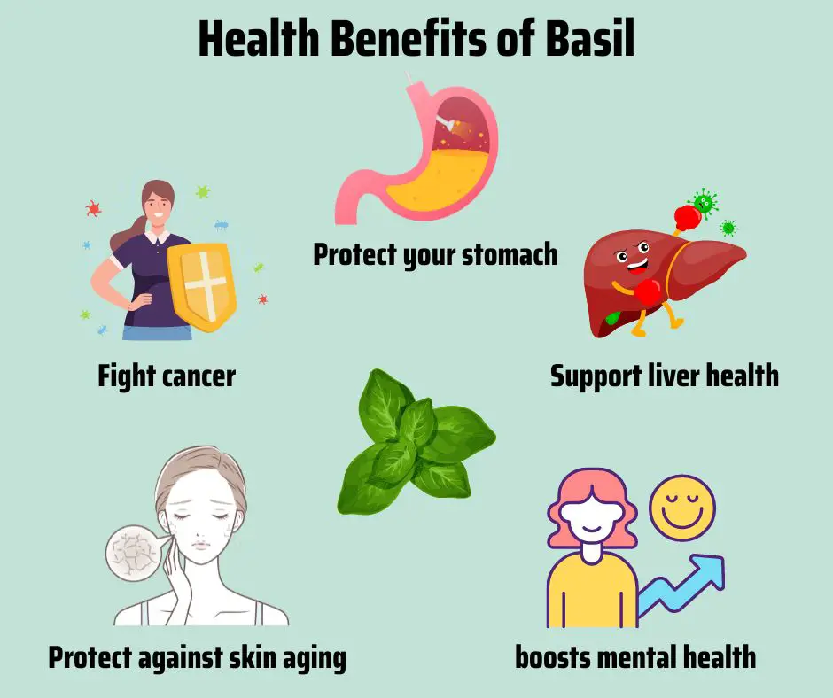 The last 5 amazing health benefits of basil