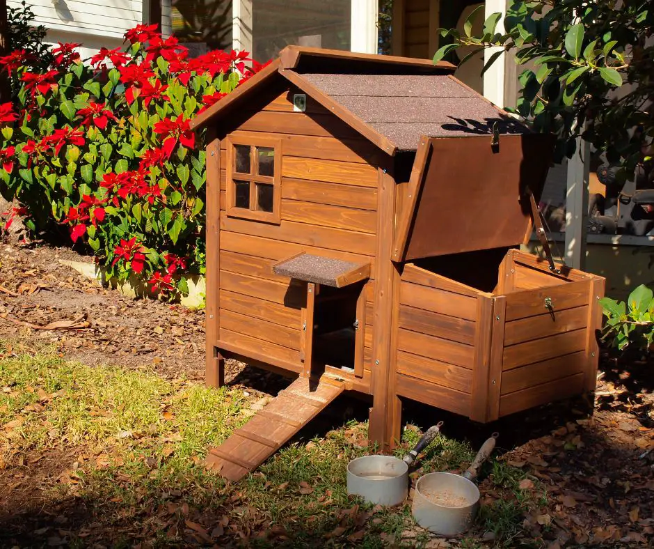 a small chicken coop in the backyard