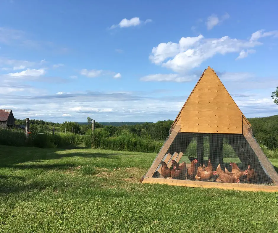 a special chicken coop