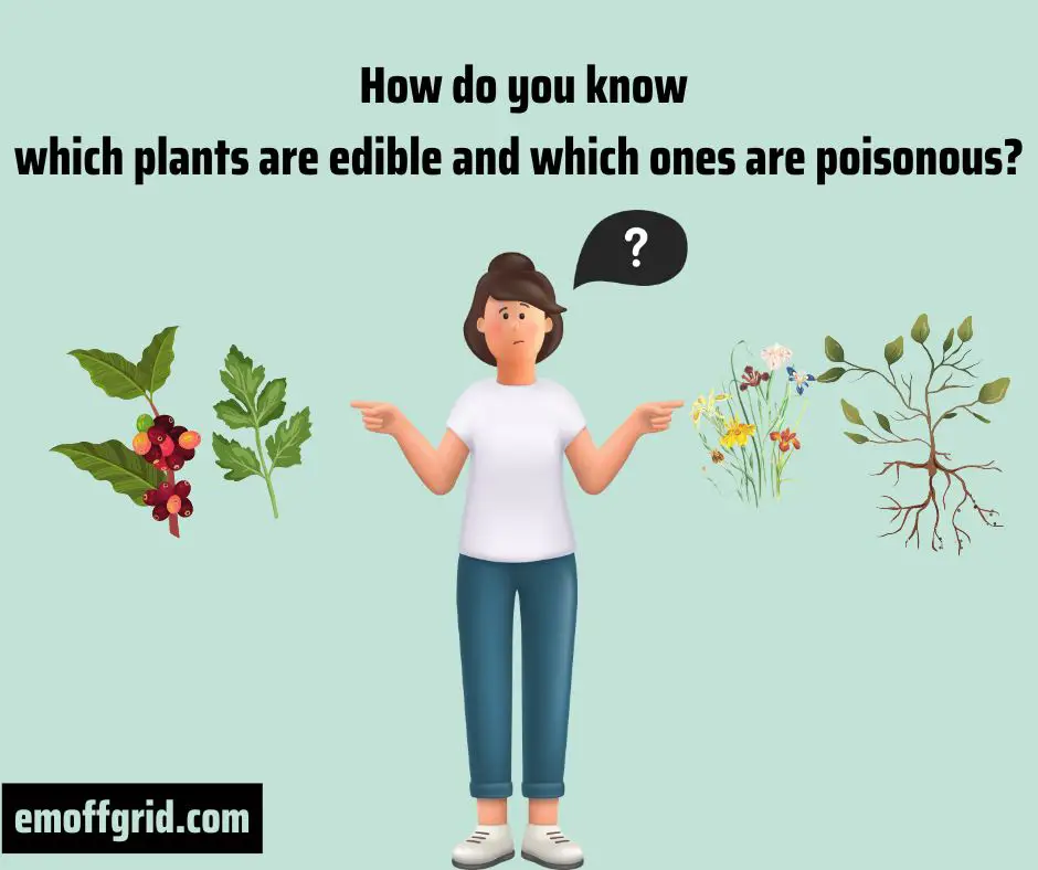 how do you know which plants are edible and which ones are poisonous